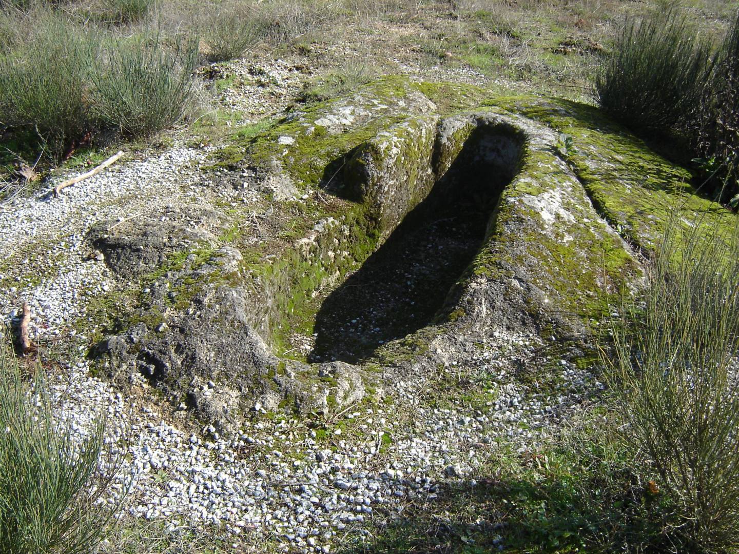 Necrópole Medieval de Esmolfe