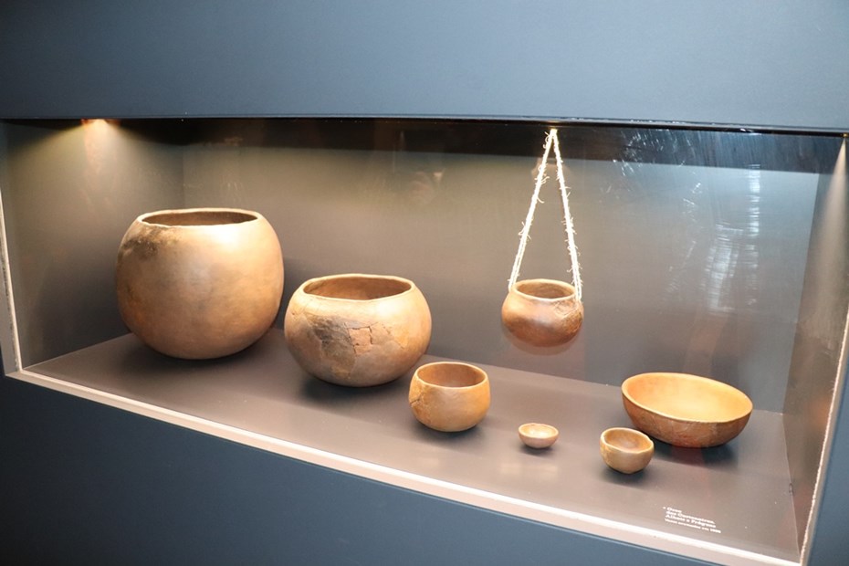 Museu de Arqueologia do Alto Paiva