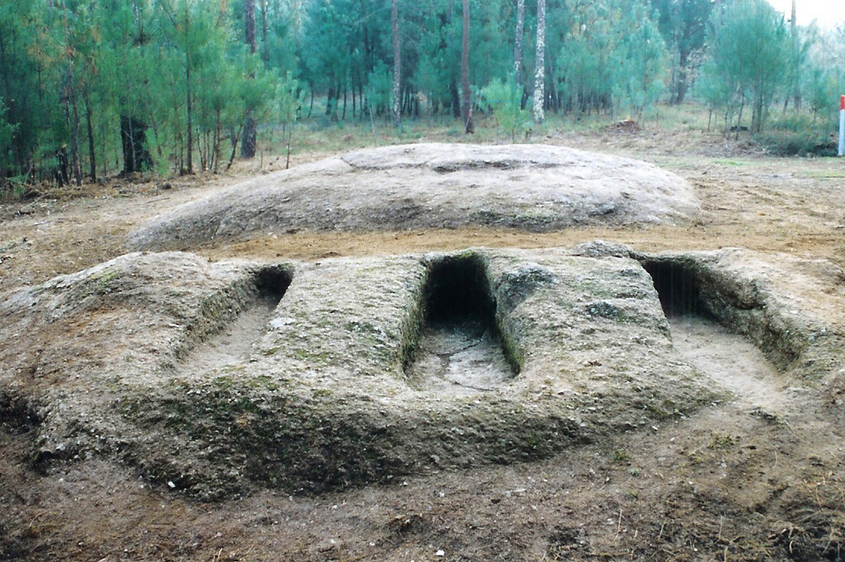 Captura-de-ecrã-2020-07-21-às-11.46.56