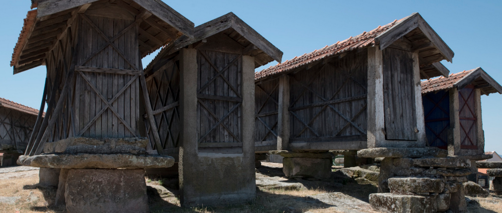 Captura-de-ecrã-2020-07-28-às-16.06.37