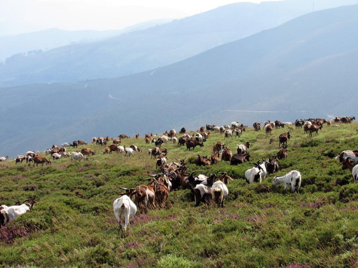 IMG_1040_Easy-Resize.com_