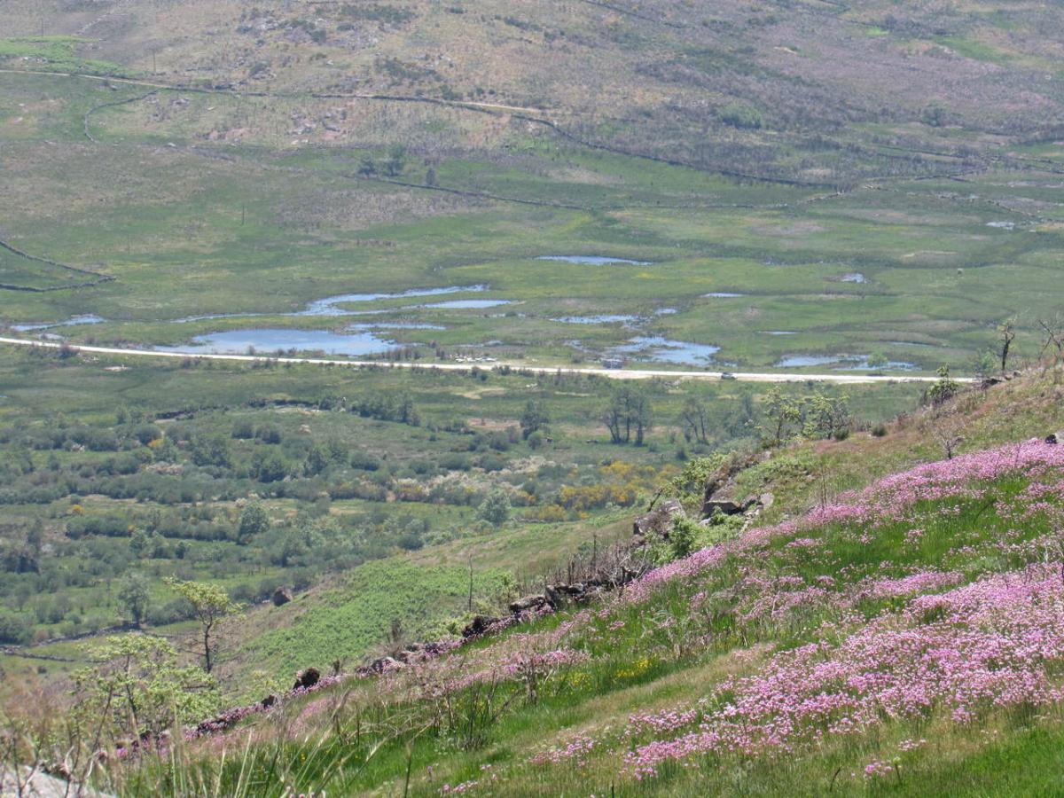 IMG_9920_Easy-Resize.com_