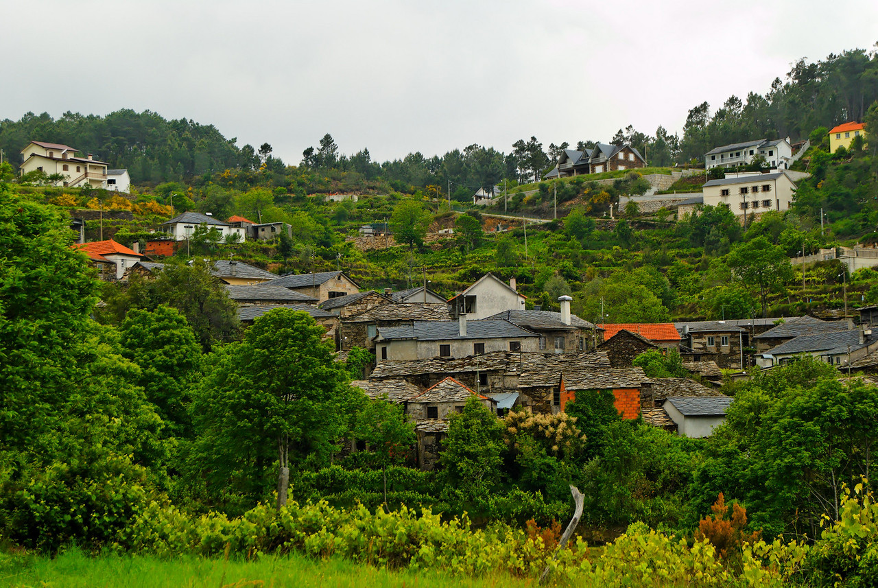 Rota-das-betulas-S.-Pedro-so-Sul-20090524-1150-X2