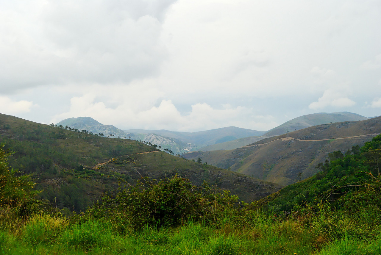 Rota-das-betulas-S.-Pedro-so-Sul-20090524-1155-X2