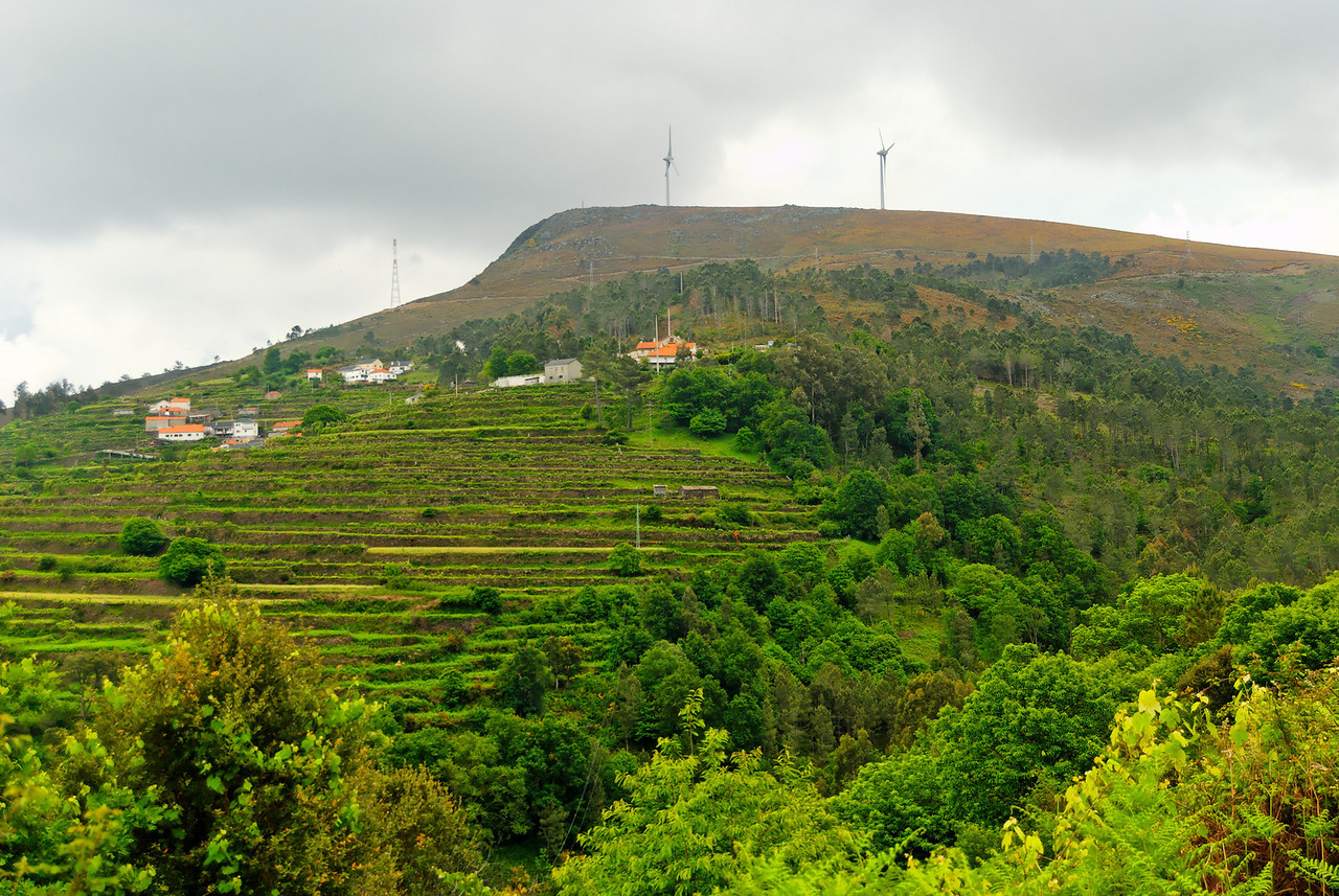 Rota-das-betulas-S.-Pedro-so-Sul-20090524-1156-X2